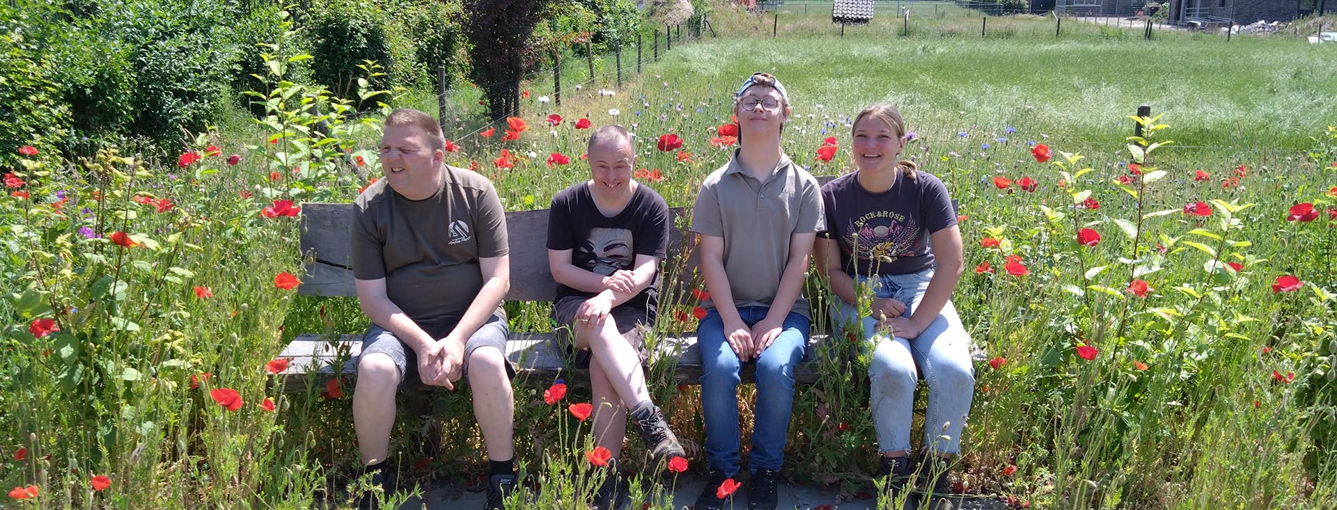 Op het bankje tussen klaprozen bij Zorgboerderij de Lorr