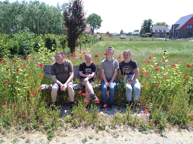 Op het bankje tussen klaprozen bij Zorgboerderij de Lorr