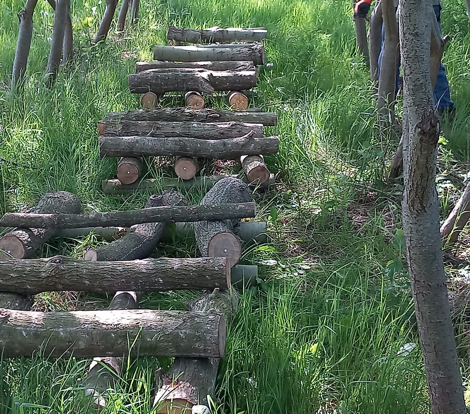 Eetbaar hout bij Zorgboerderij de Lorr in Venray